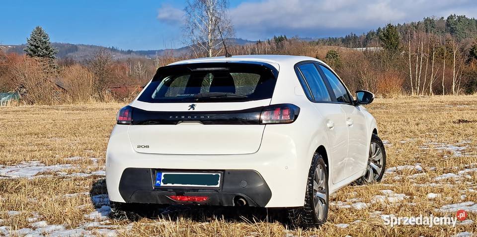 Peugeot 208 II 2020r 48130