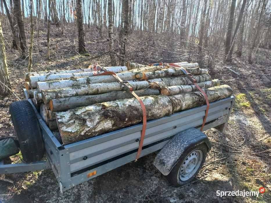Drewno kominkowe opałowe brzoza podkarpackie Ropczyce