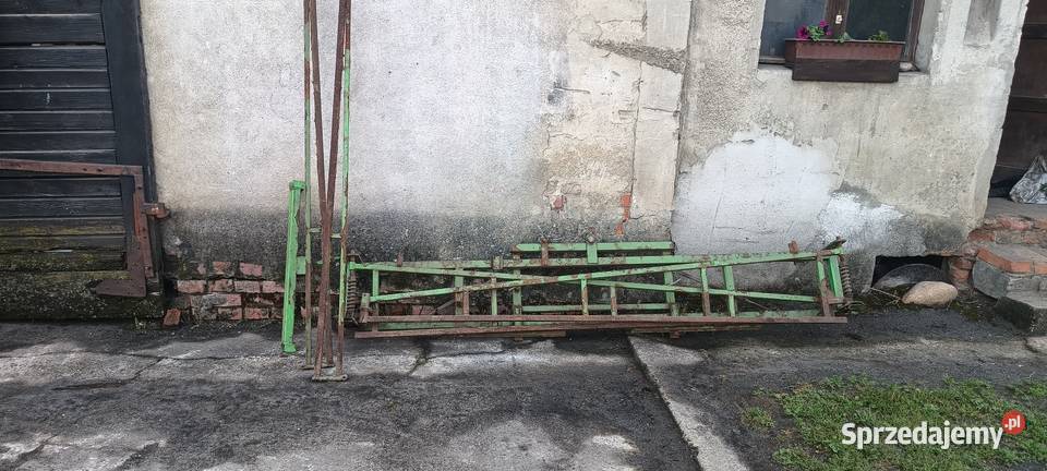 skotarek lance 12m opolskie Opole