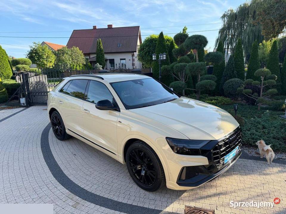 Audi Q8 50 TDI mHEV Quattro Tiptronic 286 2019r Krotoszyn