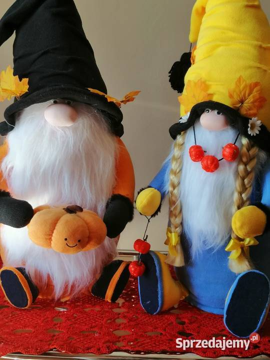 Para skrzatów siedzących jesienno zimowych Katowice