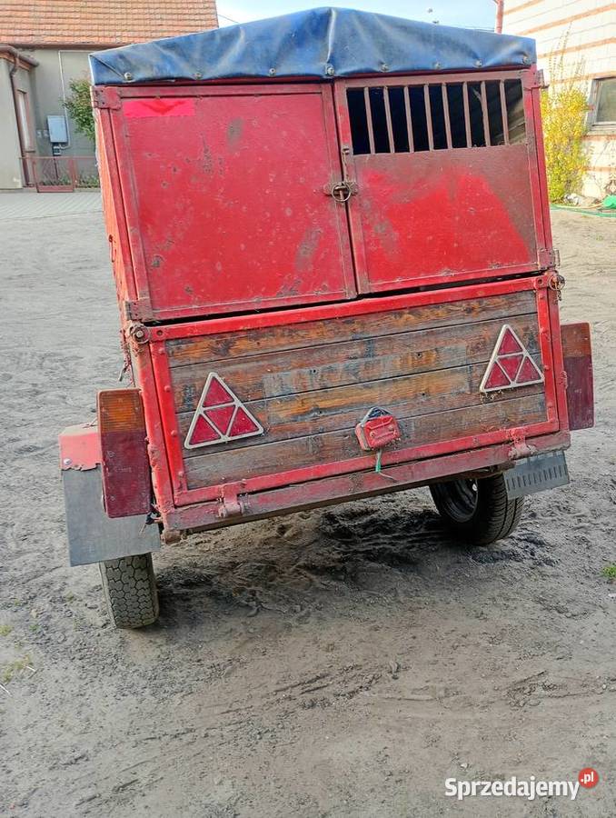 przyczepka sam samochodowa towarowe Do samochodów osobowych wielkopolskie