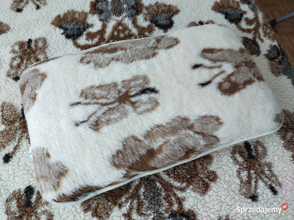 Kołdra z poduszkąWełna owcza 100 kujawsko-pomorskie Bydgoszcz