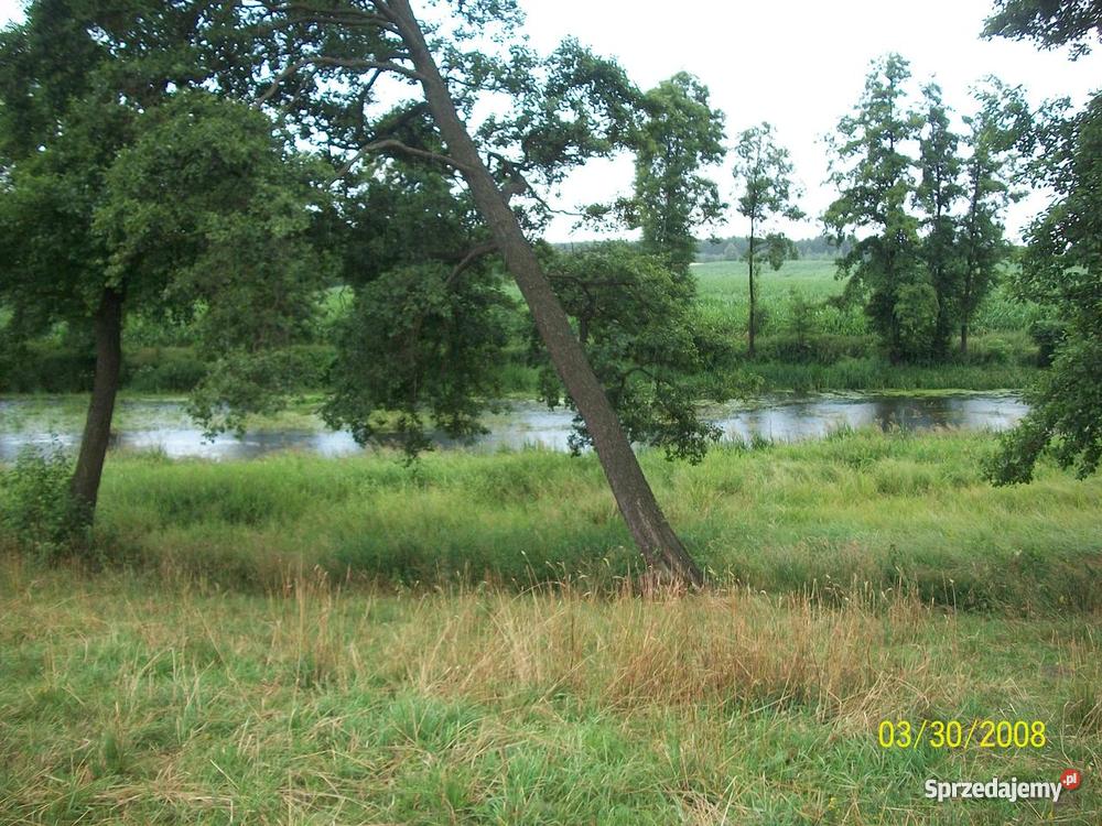 działka rekreacyjna rzeką Wkrą 1800 m2 polna Grunty i działki Prusocin