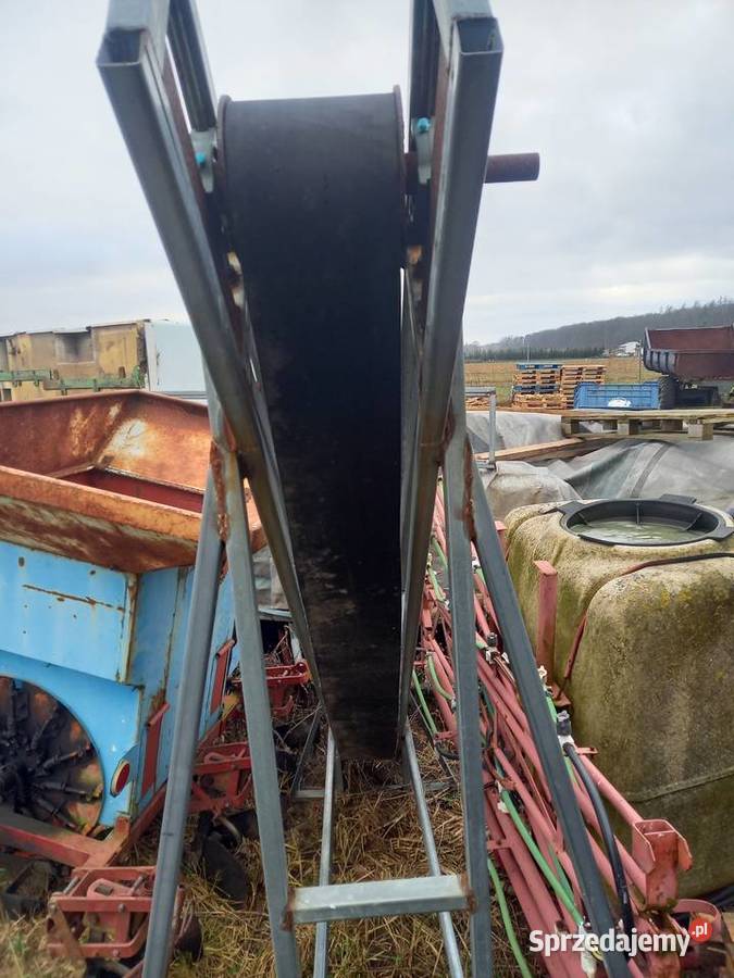 Nacinaki taśmociong kujawsko-pomorskie Strzelno