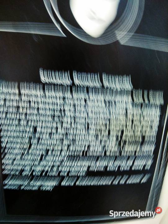 Rodziewiczówna Barcikowscy książki outlet Warszawa