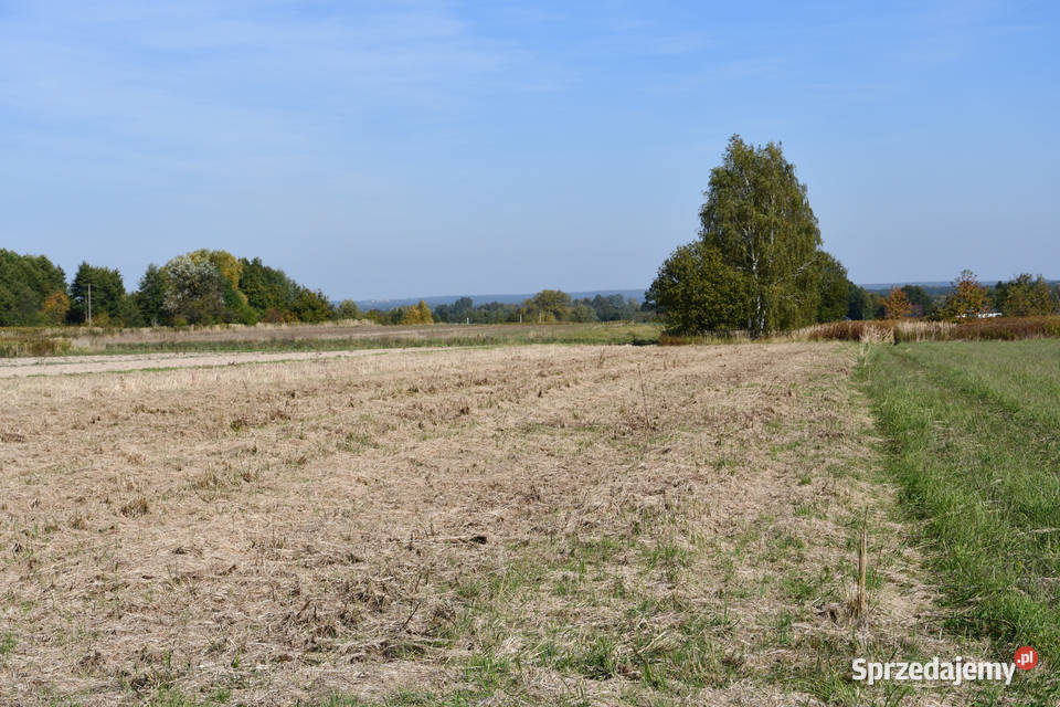 Działka rolna 43a Strażów
