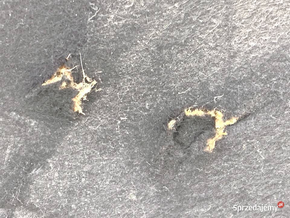 WYGŁUSZENIE MASKI SEAT IBIZA IV Kombi 0817 sprzedam