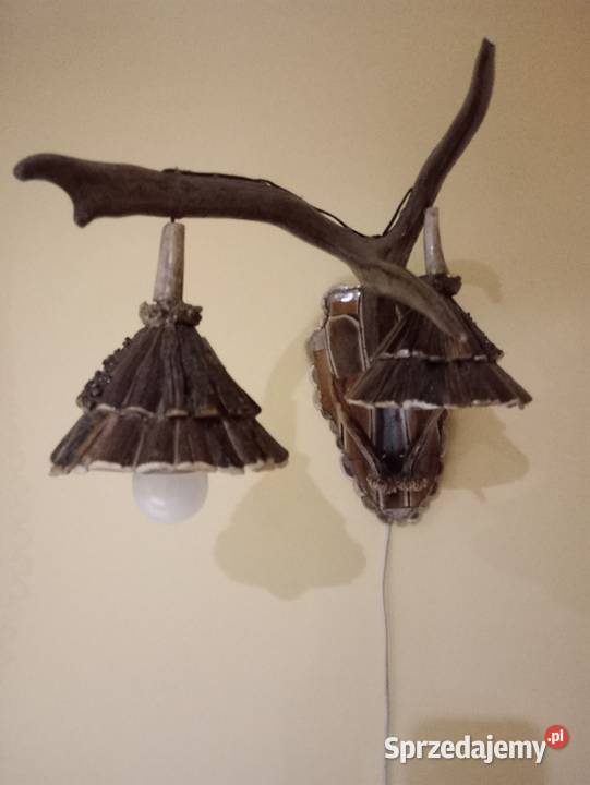 Poroże jelenia Pelagia sprzedam