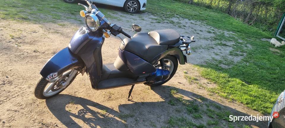 Aprilia Scarabeo Skuter 1253 silnik rotax Pabianice