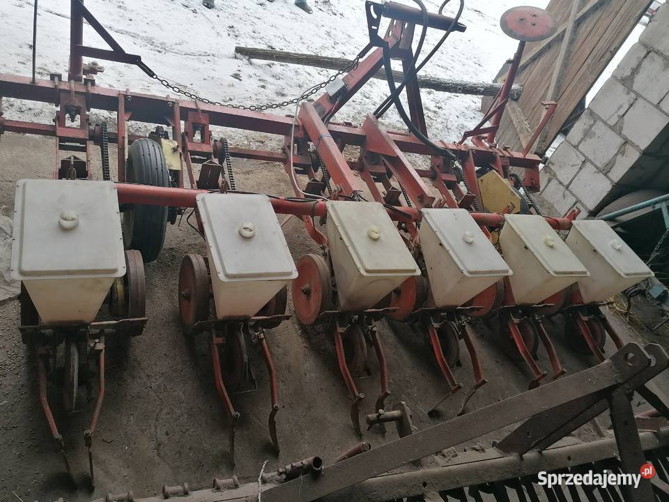Siewnik do buraków gamma 6 rzędowy łódzkie Gieczno sprzedam