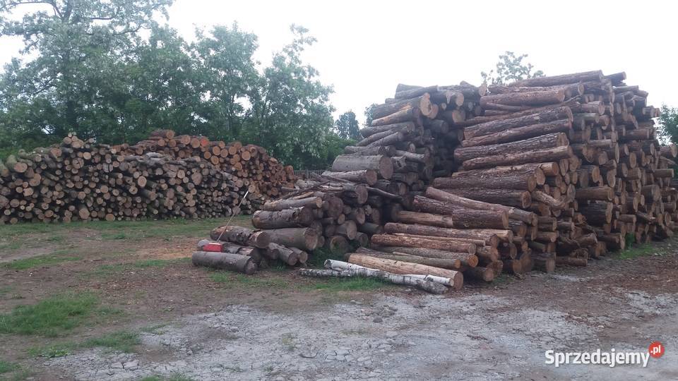 drewno kominkowe Buk sprzedam