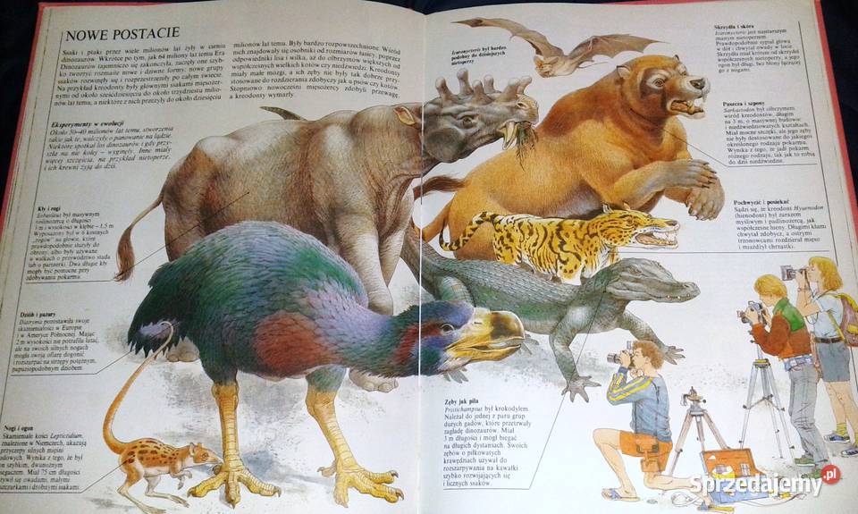 Życie prehistoryczne Steve Parker sprzedam