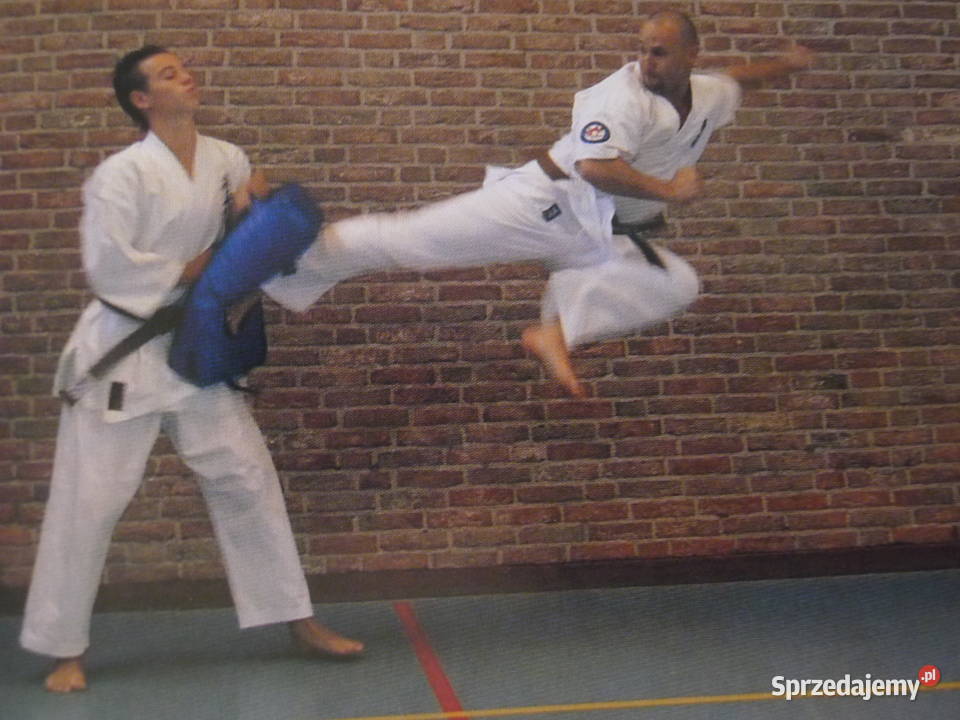 Bruin Kyokushin Karate 104 DanKata 2 ks mazowieckie Radom