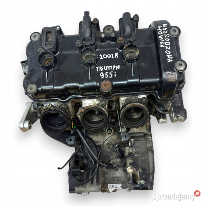 SILNIK Triumph Speed Triple 955i 955 120 Chełm