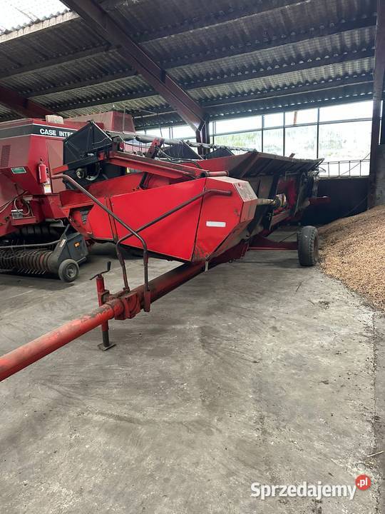 Kombajn Zbożowy Massey Ferguson 40RS Heder 6m Płonne-Plebanka