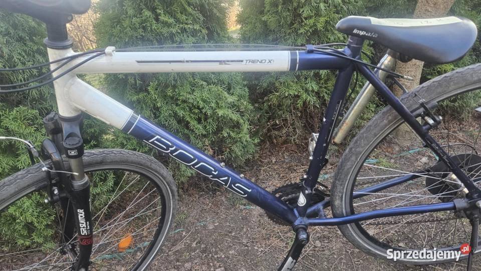 Rower męski 28 Darłowo