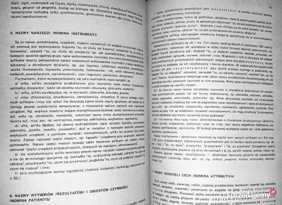 Zarys słowotwórstwa polskiego Renata