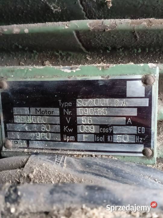 Wielopiła gąsienicowa zakłady leśnictwa Pozostałe Wejherowo sprzedam