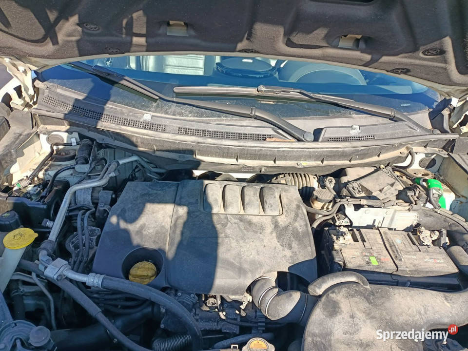 Renault Koleos Renault Koleos 20DCI 150 11r Tarnów