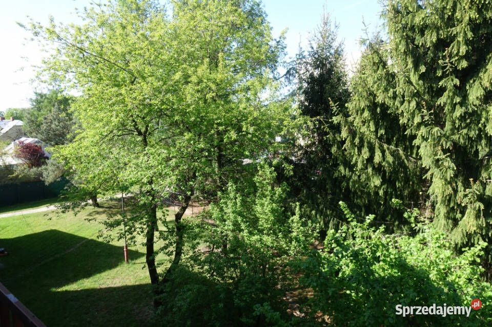 NAJTAŃSZE Z BALKONEM WE WŁODAWIE Włodawa