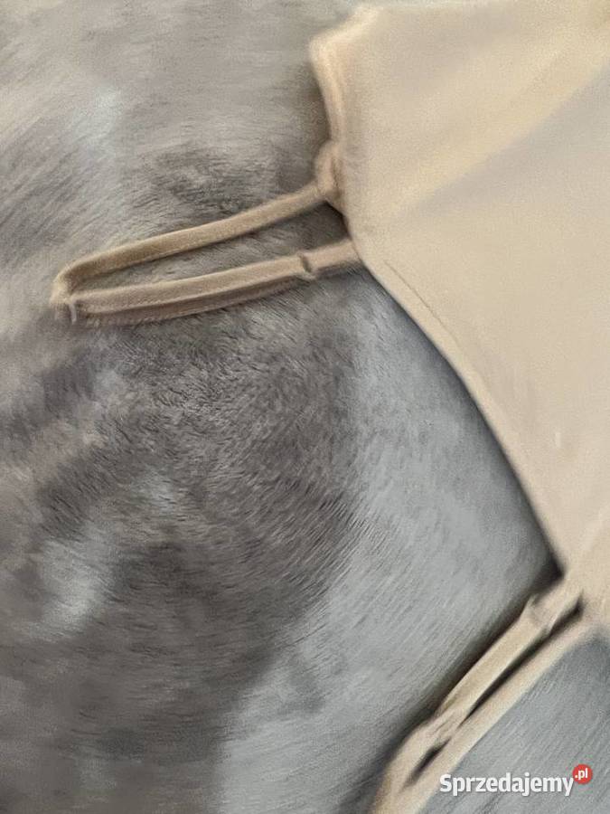 Top crop top na szelkach ramiączkach beżowy HIT Jasło