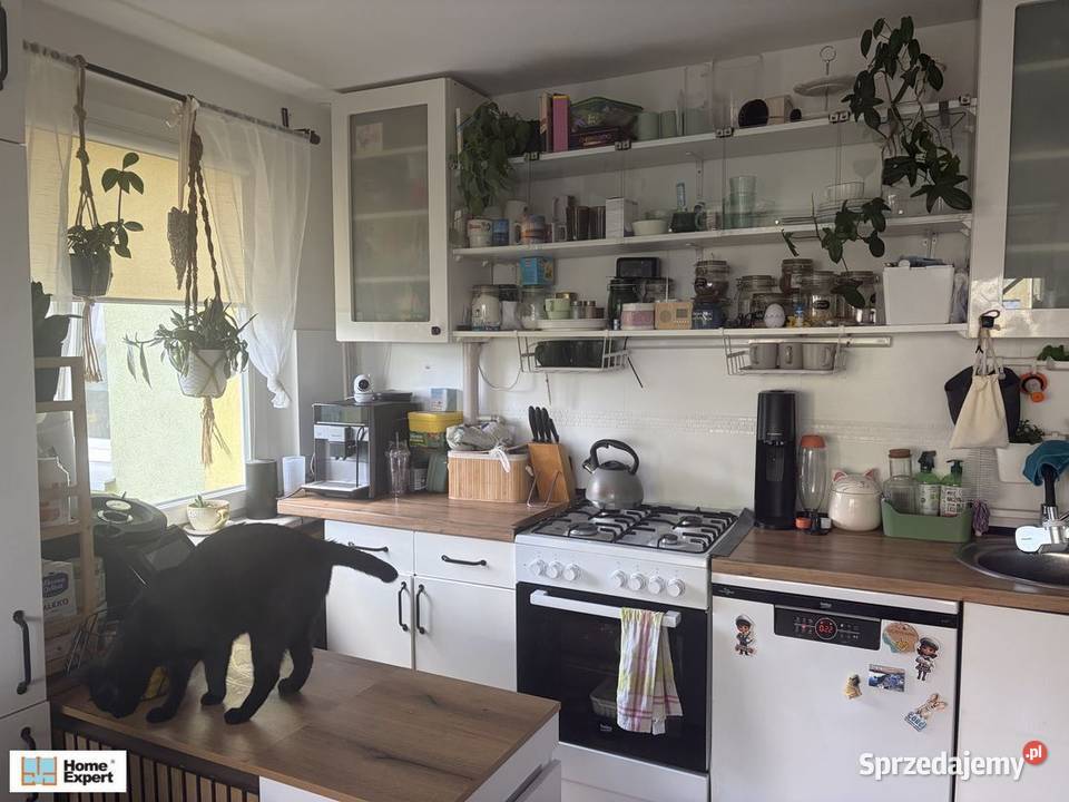 2pok 36met Zemskiej BALKONPIWNICAWINDA Wrocław Sprzedaż sprzedam