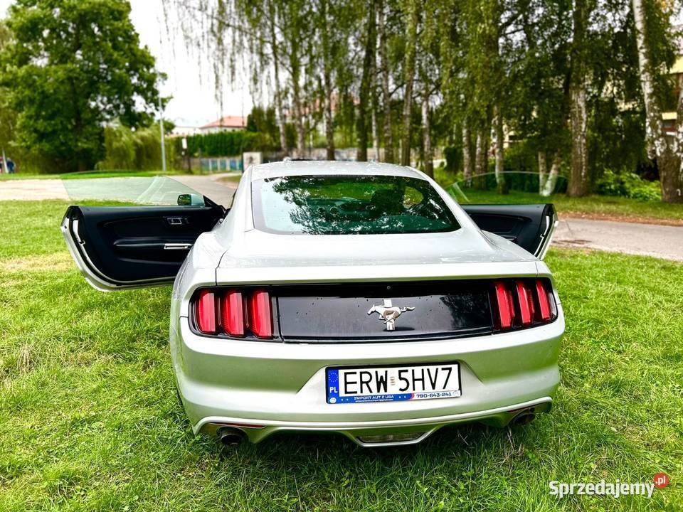 Mustang 37 2016 Ford Skierniewice