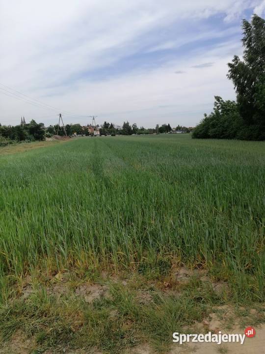 Udział w nieruchomości gruntowej niezabudowanej Parczew