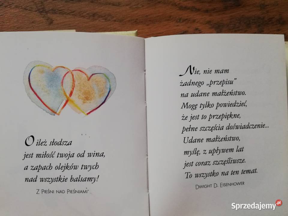 Na zawsze razem Sarah Hall ISBN 8371684592 Kraków sprzedam