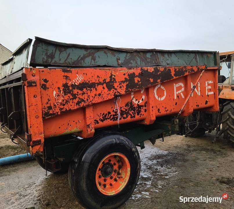 Sprzedam Przyczepa Skorupowa Corne Jedwabne
