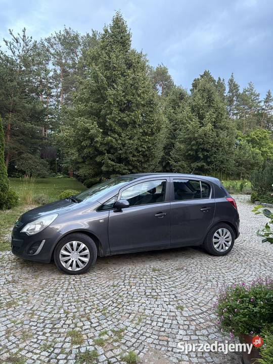 Opel Corsa D 14 benzyna 100 2012 131