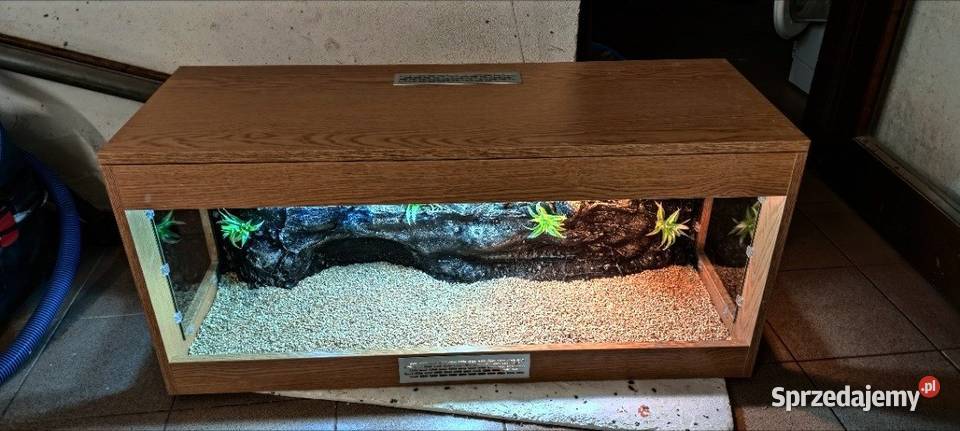 Terrarium Egzo Systems żółwia greckiego gekona Cieszyn