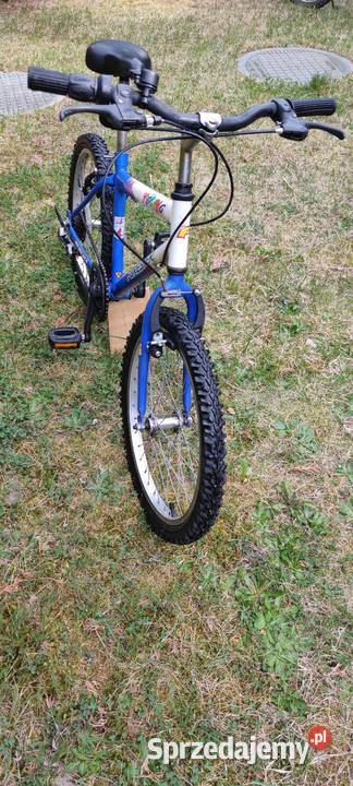 Rower dziecięcy 20 przerzutki zadbany serwis Wilczyn