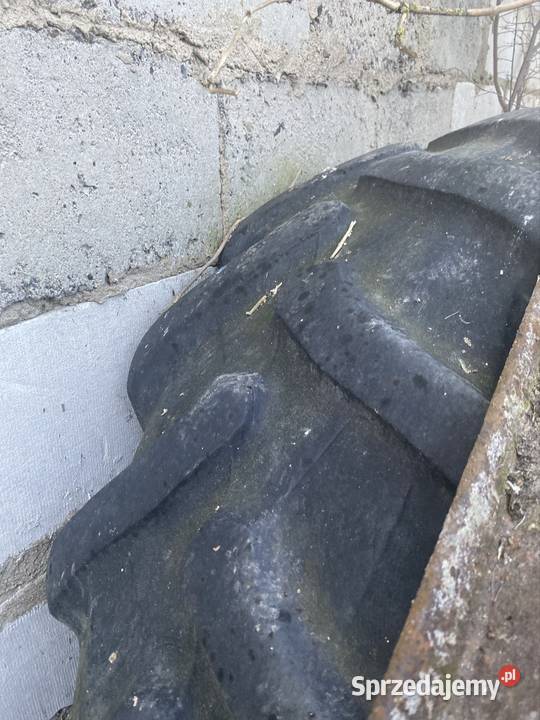 Opona 184r38 Pirelli 46085r38 Zgniłobłoty