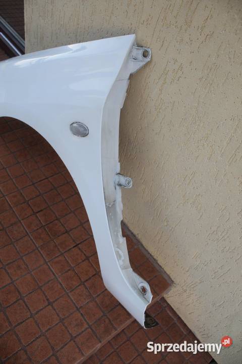 BŁOTNIK LEWY PRZÓD PRZEDNI EWPA PEUGEOT 307 osobowe Błotniki sprzedam