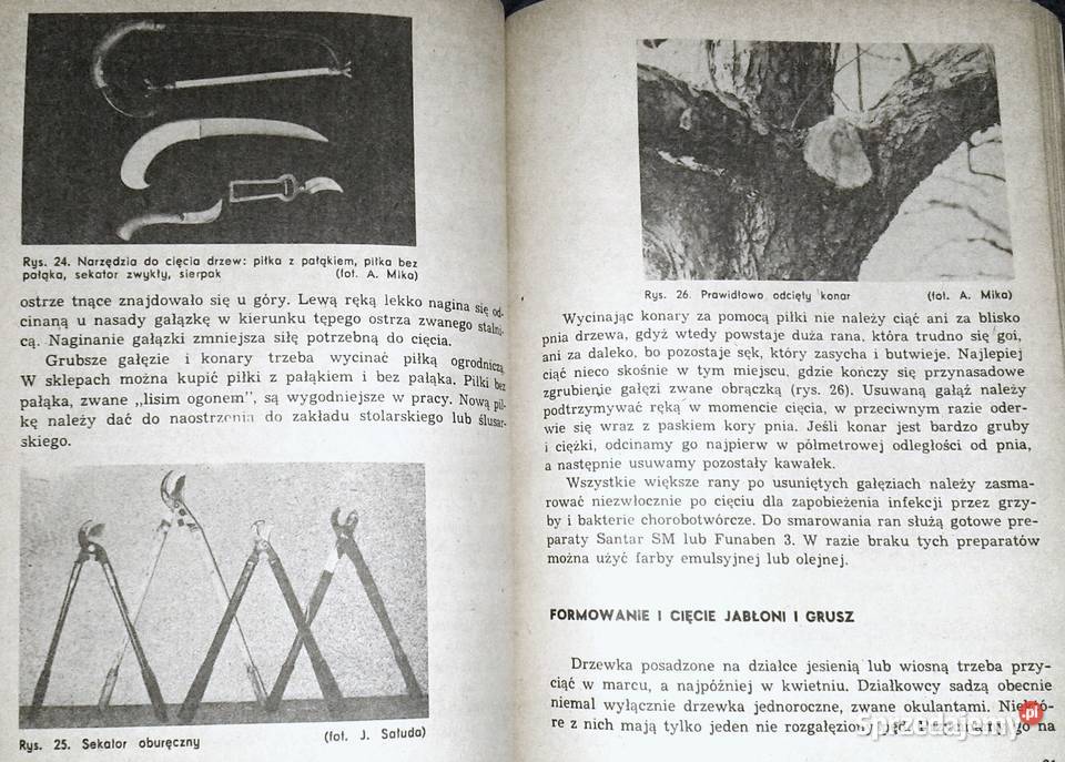 ABC Sadownictwa Moja działka Augustyn Mika Chełm