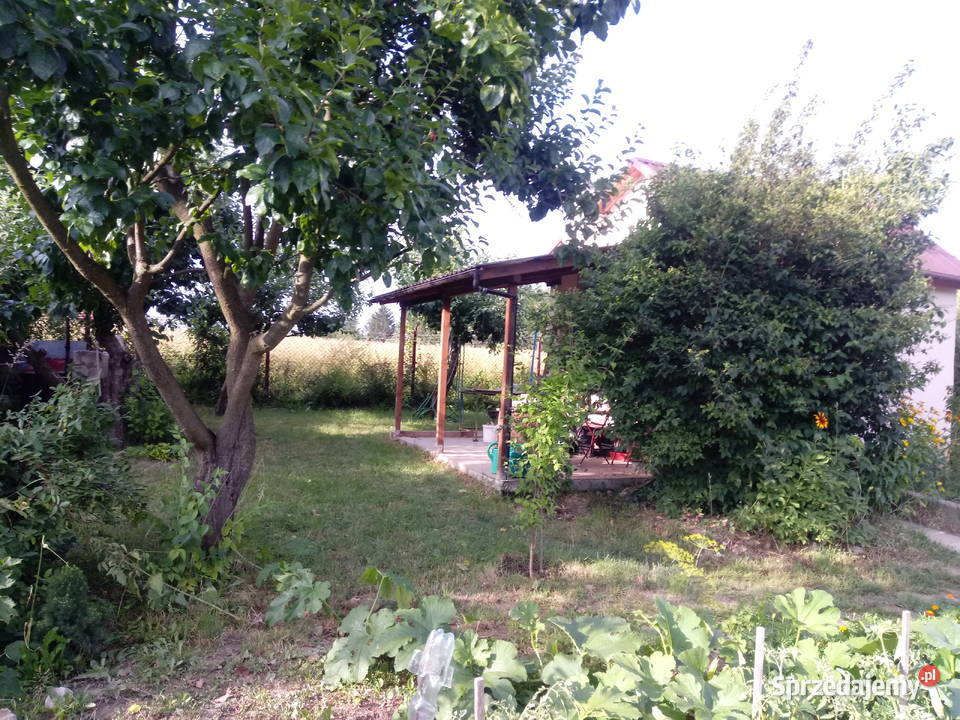 Sprzedam ogródek działkowy w ROD Leśna Polana w 77zł/m2 Lublin