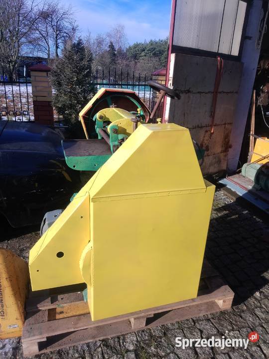 grubościówka heblarka Wykroty