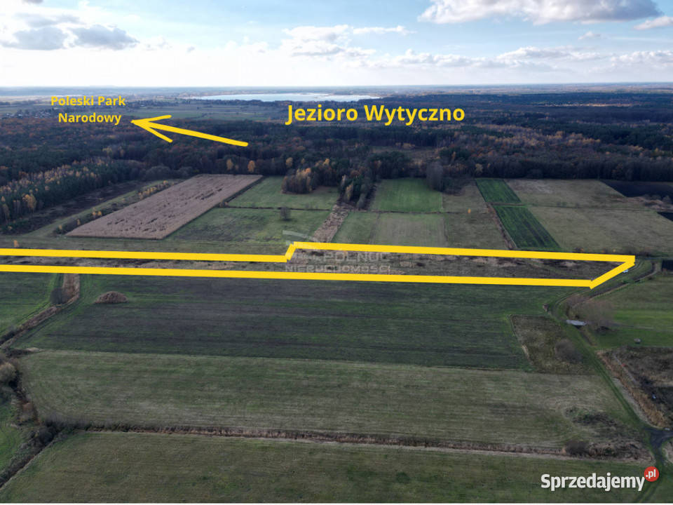 Działka rolna 247 ha Dominiczyn gmina Stary Brus polna