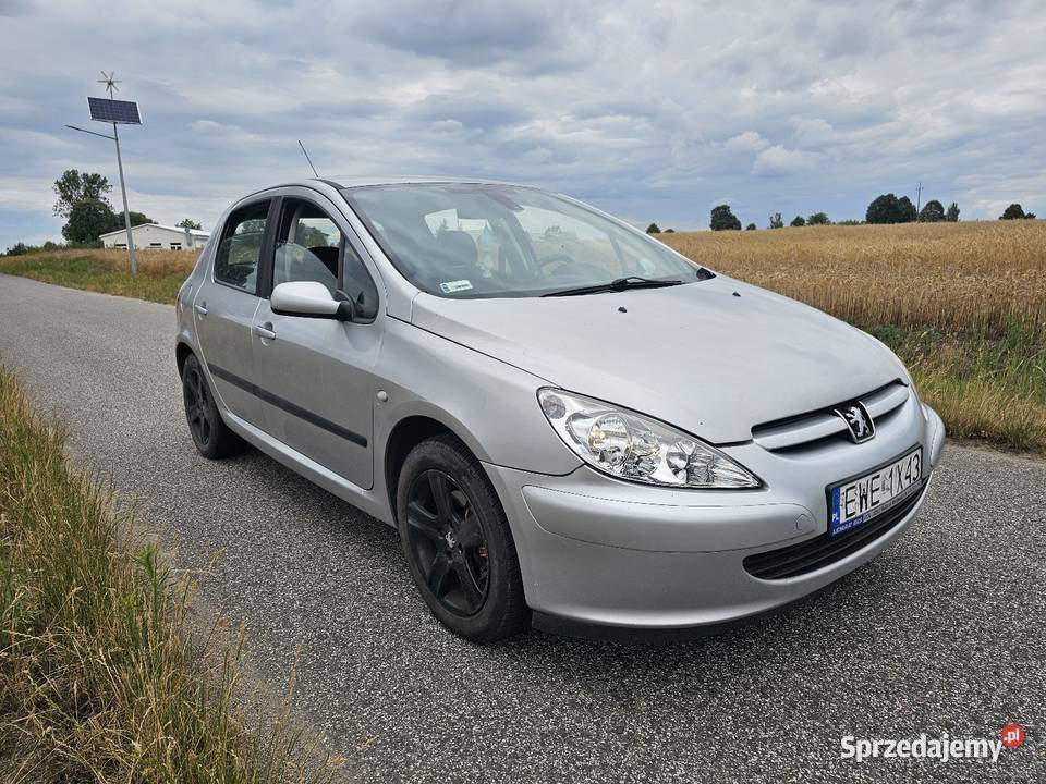Peugeot 307 16 benzyna nieuszkodzony 307 łódzkie Chotynin
