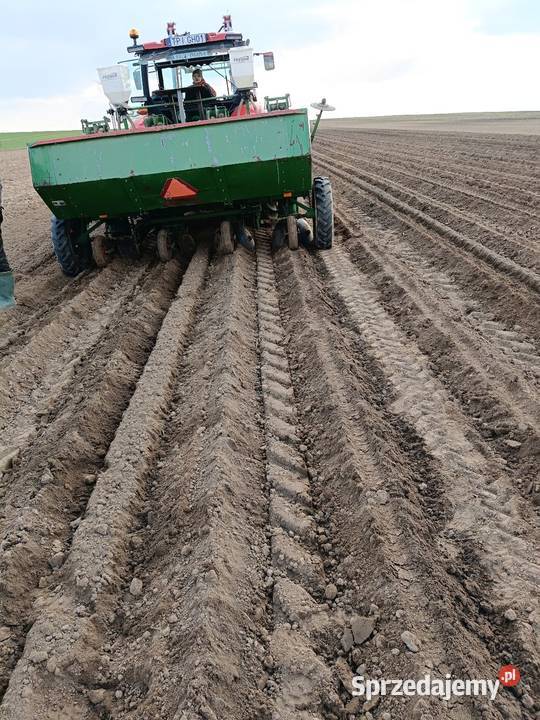 Sprzedam sadzarke do ziemniaków 4 rzedowa Pińczów