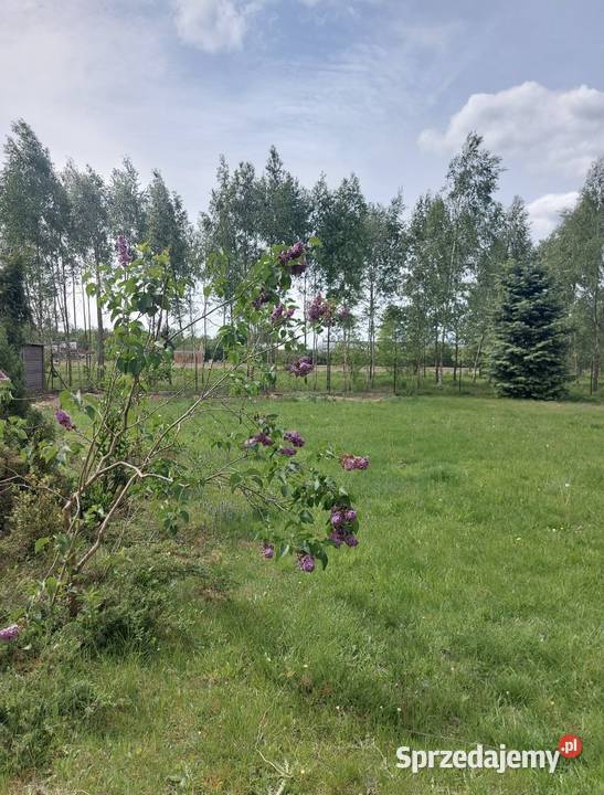 Sprzedam działkę budowlaną prąd Zgierz sprzedam