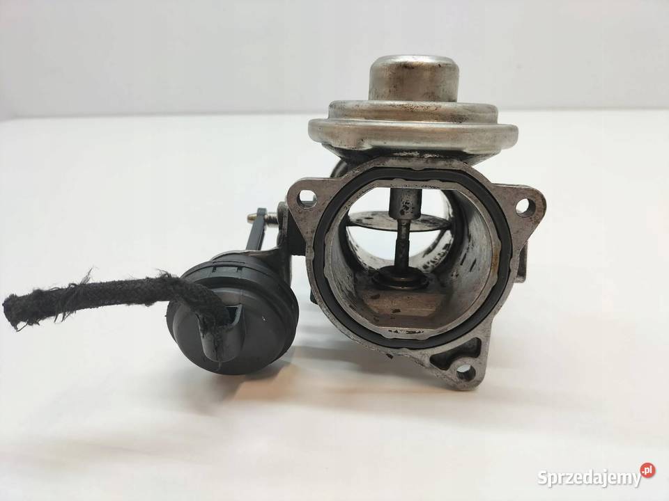 PRZEPUSTNICA 038129637L 19 TDI Skoda Superb I