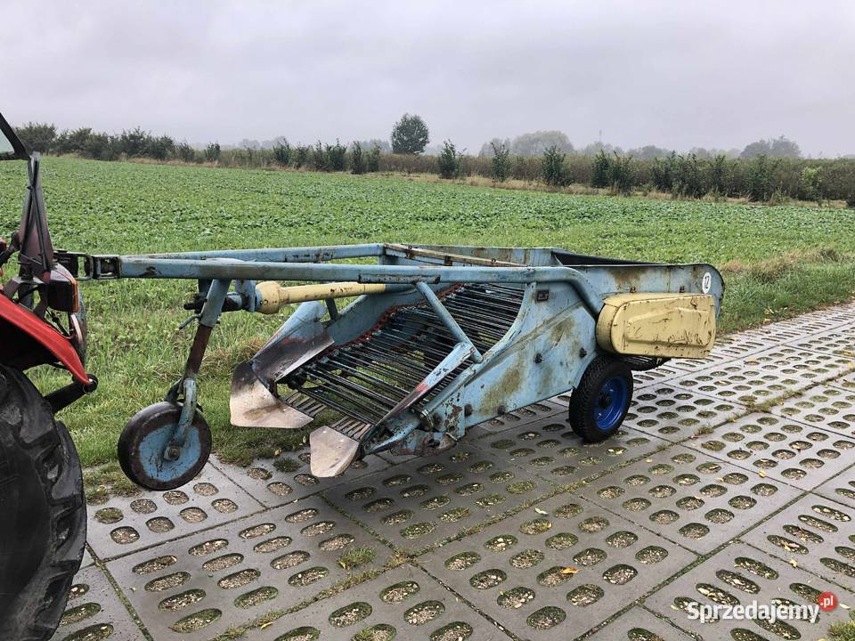 Kopaczka elewatorowa Białopole sprzedam