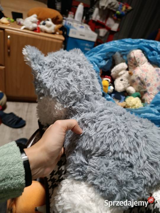 pies maskotka pluszak zabawka pluszowa Maskotki Poznań sprzedam