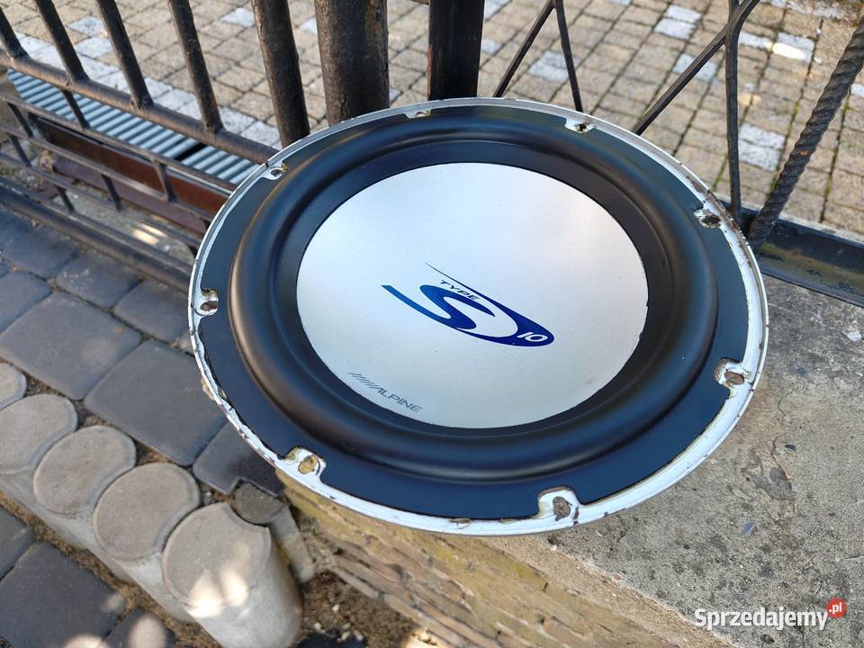 Głośnik bassowy basowy niskotonowy 10 25 250mm 250 mm Niegowonice