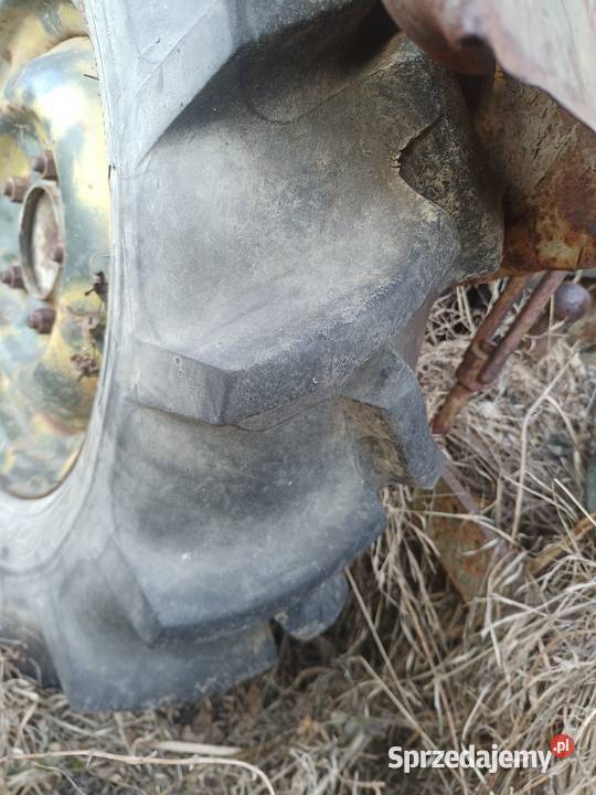 Koła 75016 Dębica jodełka sam es Leśnictwo Włosienica