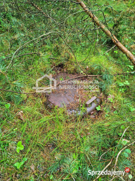 sprzedaży gruntu 13504m2 Kobylasz 1m
