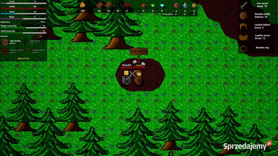 Medieval gate 2D RPG Grudziądz sprzedam